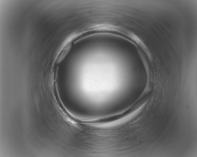 X0000081621376200701151420