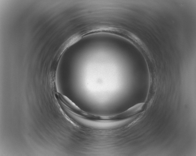 X0000081621377200701151420