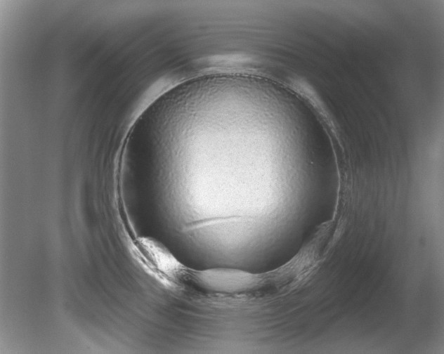X0000081621386200701151420