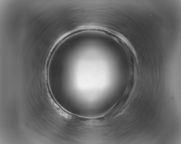 X0000081621388200701151420