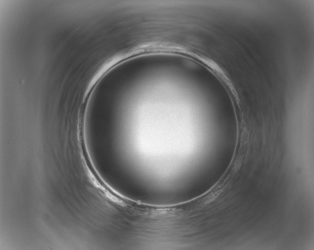 X0000081621390200701151420