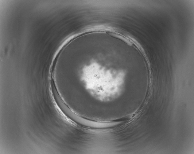 X0000081621392200701151420