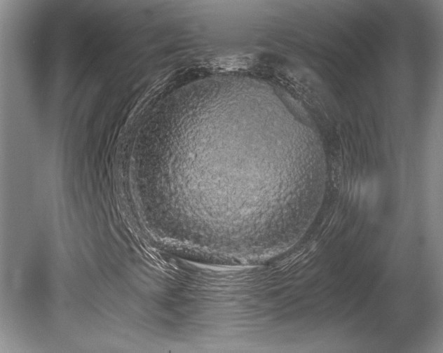 X0000081621393200701151419