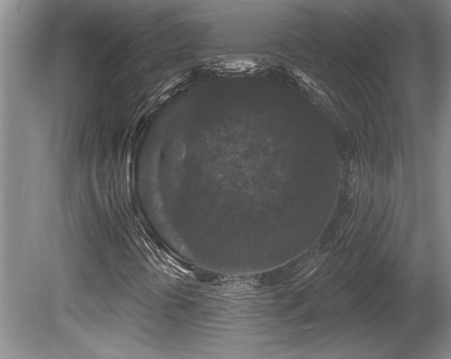 X0000081621394200701151419