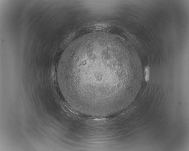 X0000081621395200701151419
