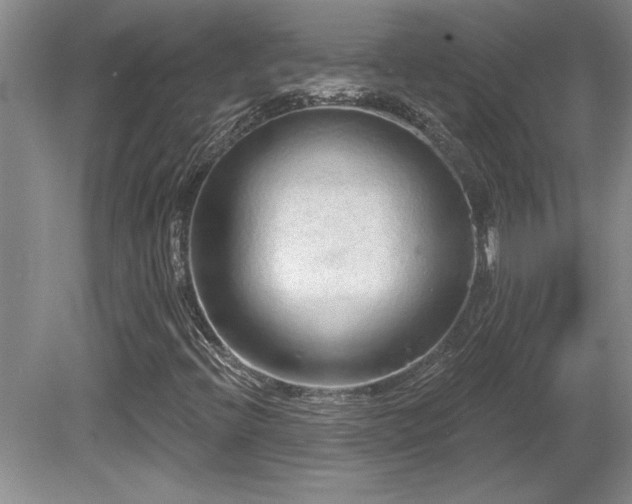 X0000081621396200701151419