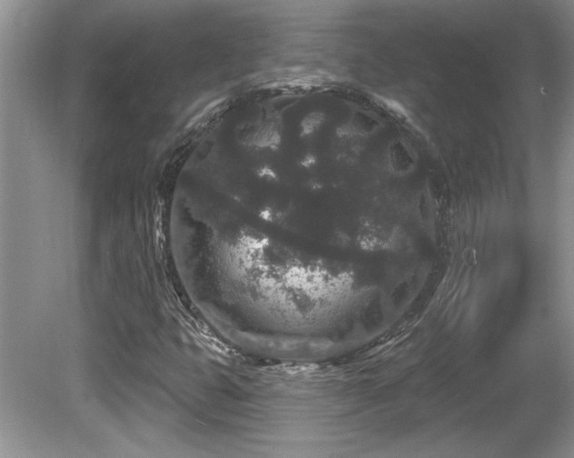 X0000081621399200701151419