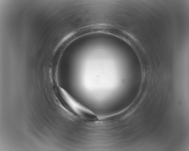 X0000081621402200701151419