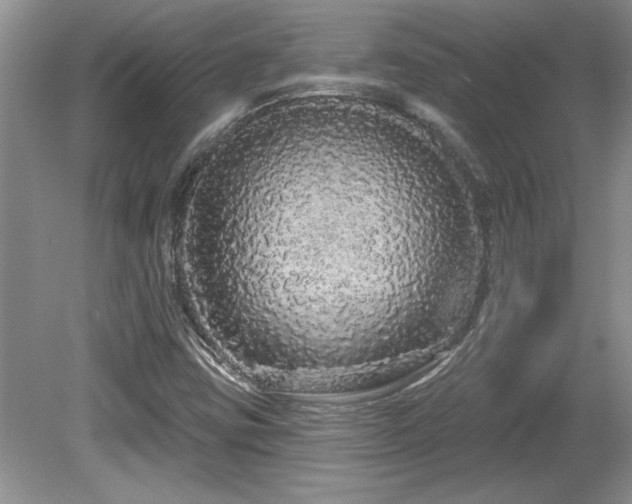 X0000081621403200701151419