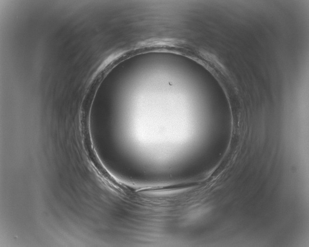 X0000081621404200701151419
