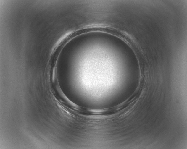 X0000081621406200701151419