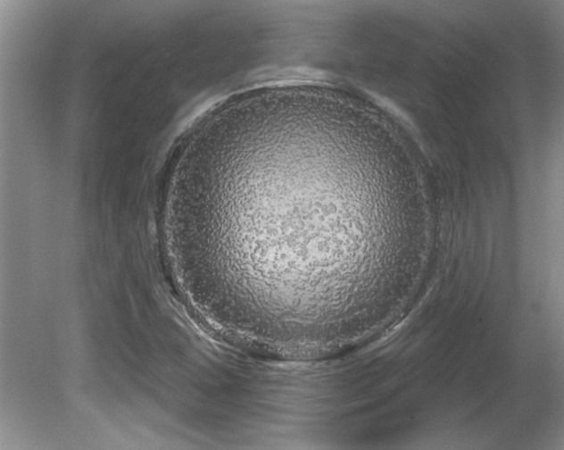 X0000081621407200701151419