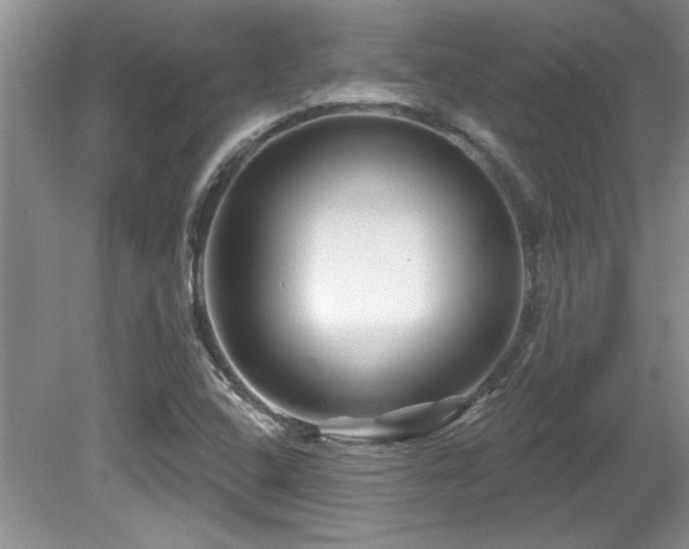 X0000081621408200701151419