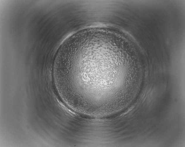 X0000081621409200701151419