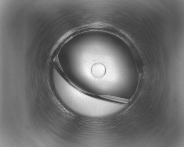 X0000081621410200701151419
