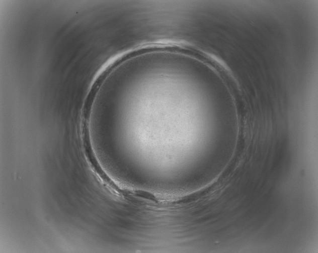 X0000081621412200701151419