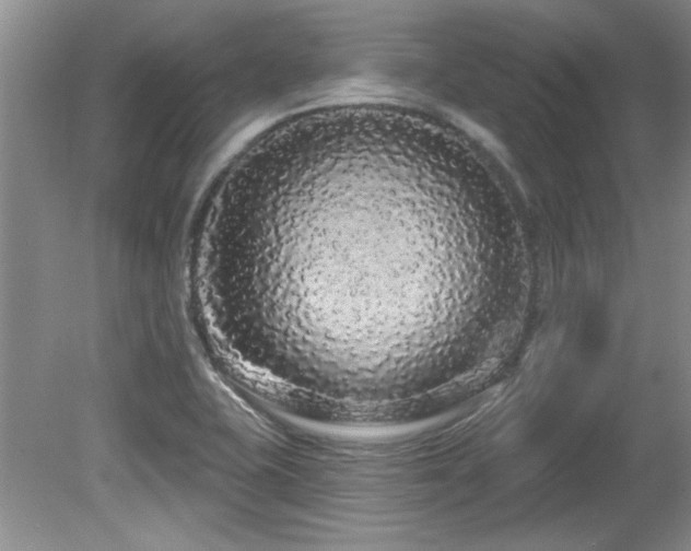 X0000081621415200701151419