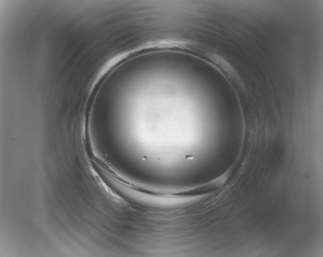 X0000081621420200701151419