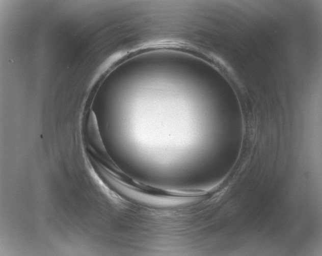 X0000081621422200701151420