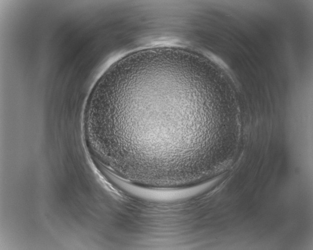 X0000081621423200701151420