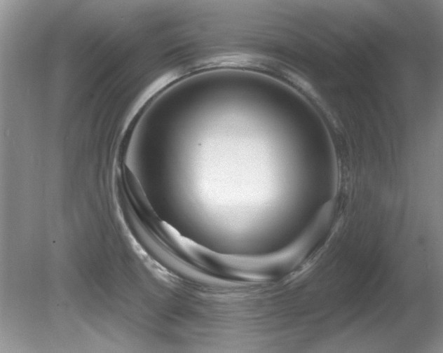 X0000081621426200701151420