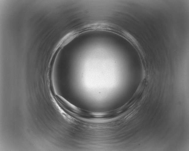 X0000081621434200701151420