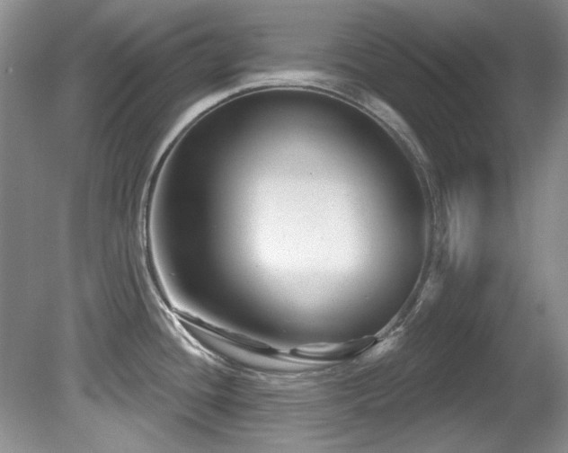 X0000081621436200701151420