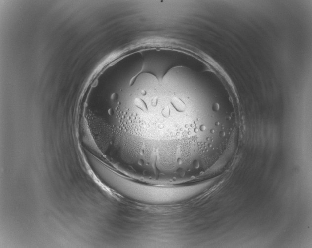 X0000081621437200701151420