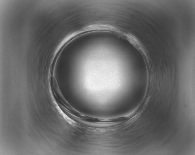 X0000081621438200701151420