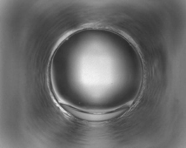 X0000081621440200701151420
