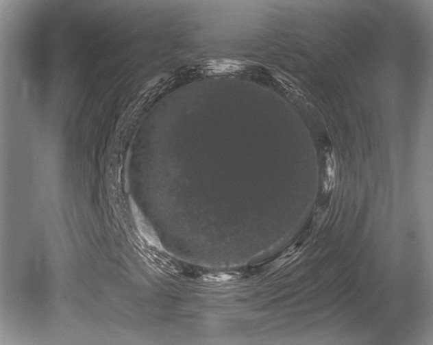 X0000081621441200701151419