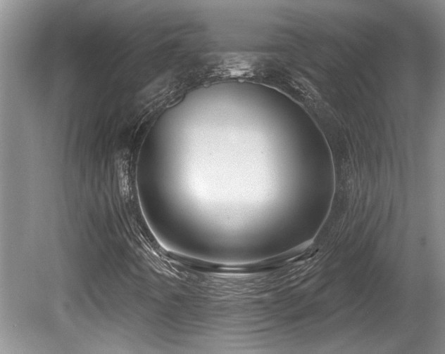 X0000081621442200701151419