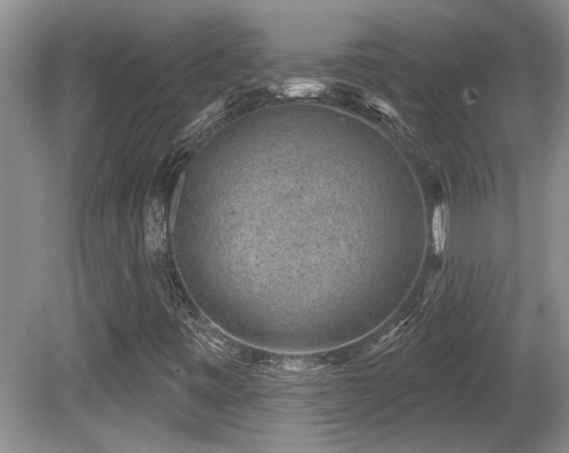 X0000081621443200701151419