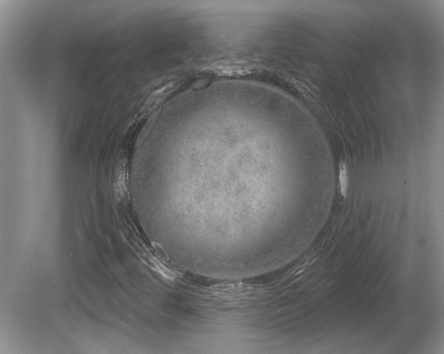 X0000081621444200701151419