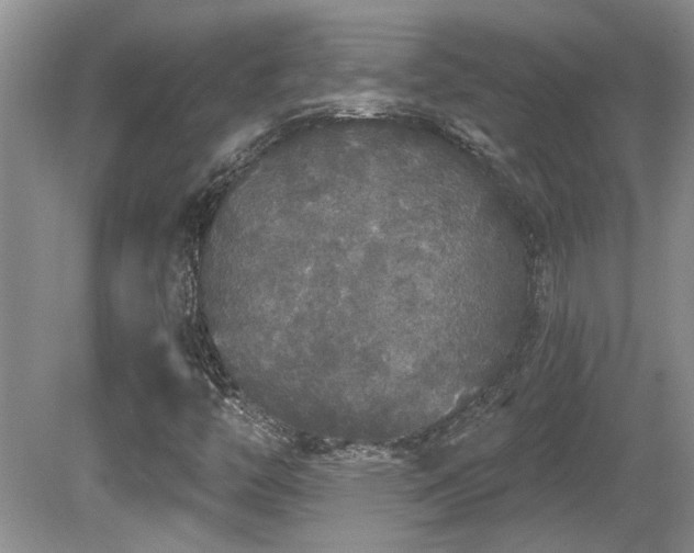 X0000081621446200701151419