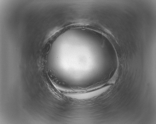 X0000081621448200701151419