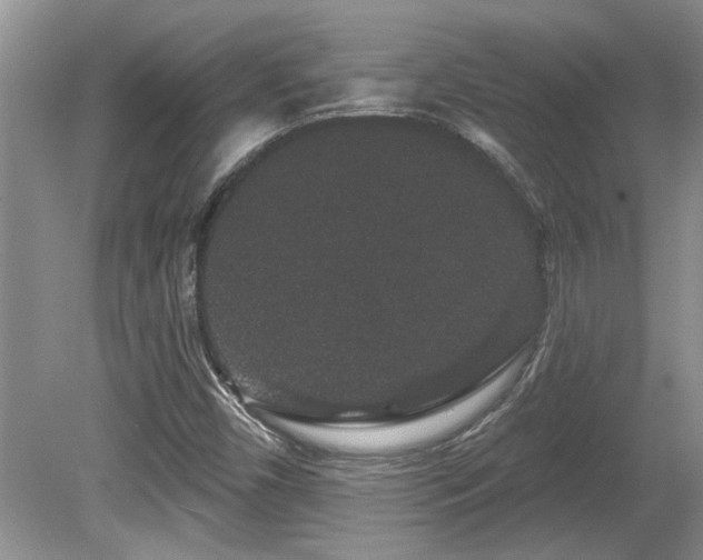 X0000081621450200701151419