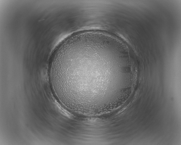 X0000081621452200701151419