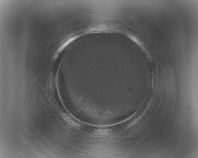 X0000081621453200701151419