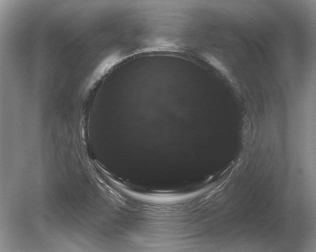 X0000081621455200701151419