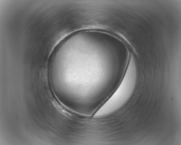 X0000081621460200701151419