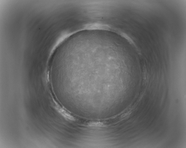 X0000081621462200701151419
