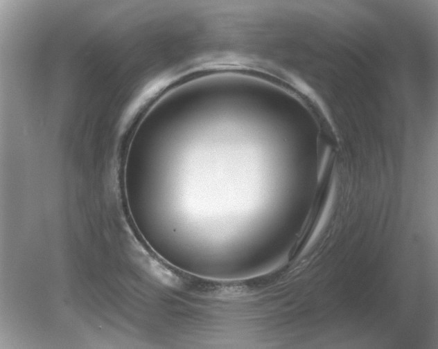 X0000081621464200701151419