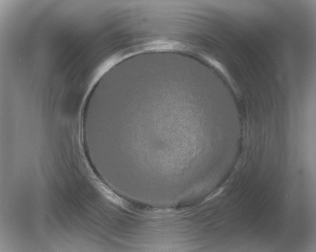 X0000081621467200701151419