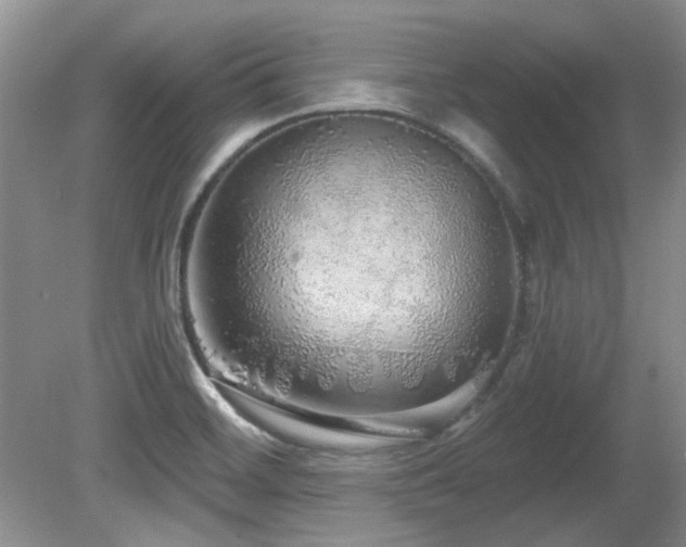 X0000081621468200701151419