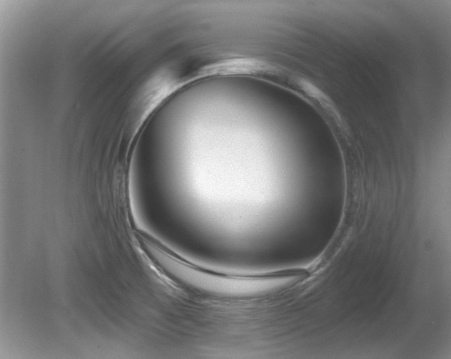 X0000081621473200701151418
