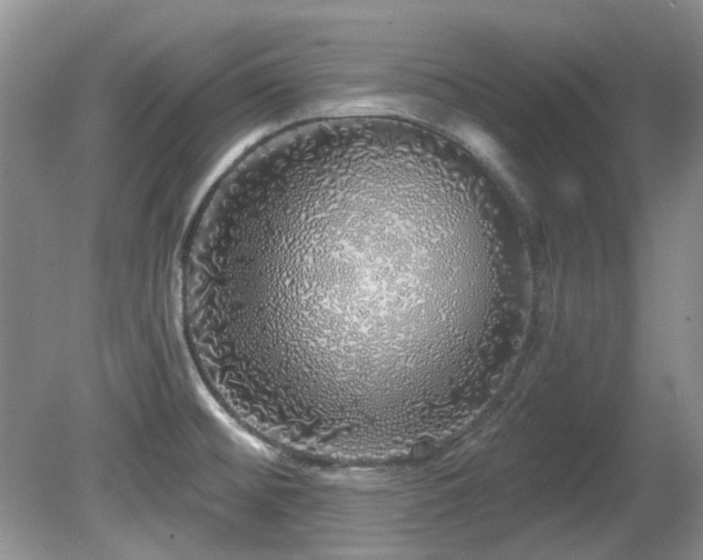 X0000081621476200701151418