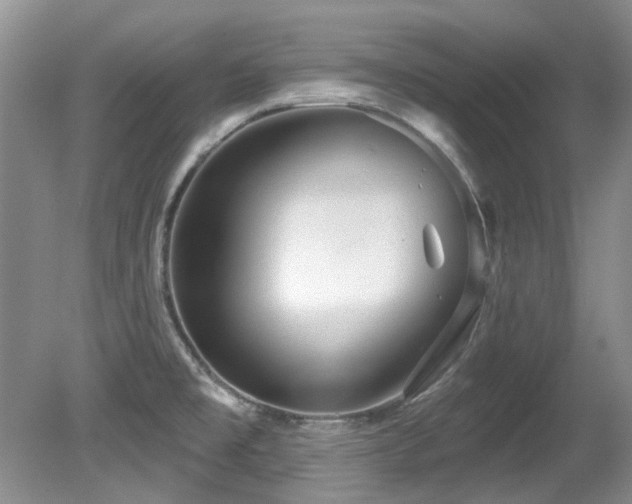 X0000081621477200701151418