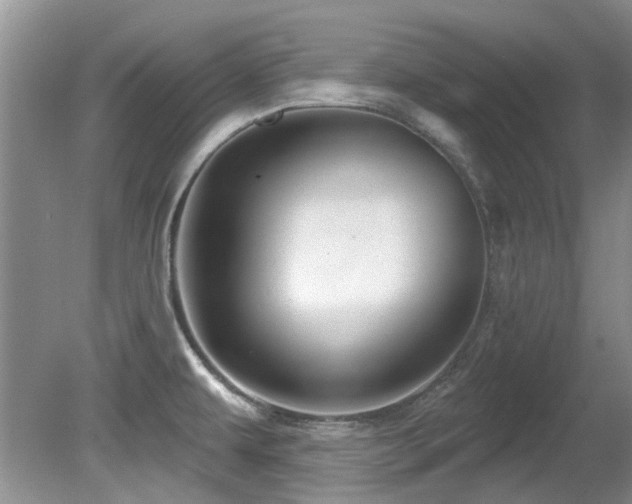 X0000081621479200701151418