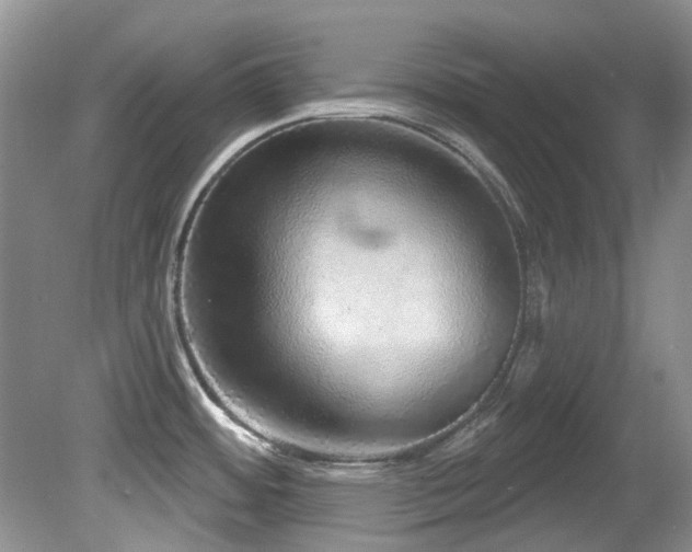 X0000081621484200701151418
